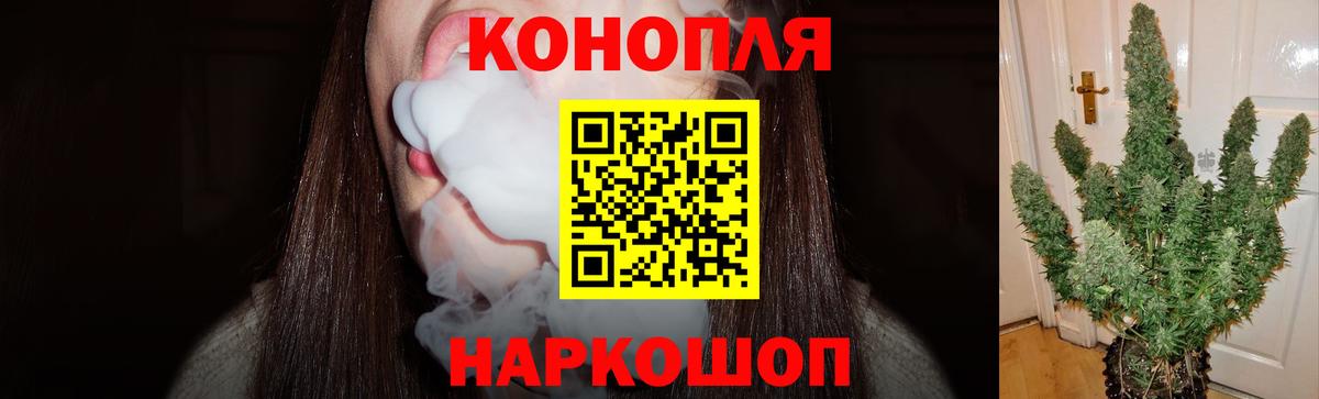 МАРИХУАНА SATIVA & INDICA Камышлов